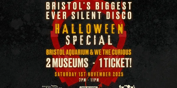 Silent Disco promotional poster