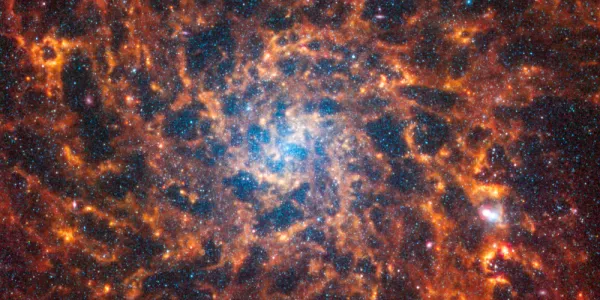Webb’s image of IC 5332 shows a densely populated face-on spiral galaxy anchored by a central region that has a light blue haze. Spine-like spiral orange arms extend to the edges and rotate clockwise.