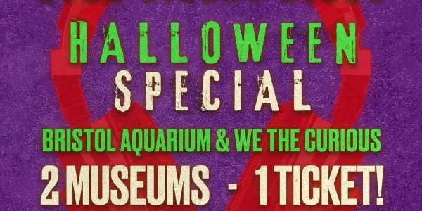 Bristol's Biggest Ever Silent Disco Halloween Special - 2 Museums - 1 Ticket!