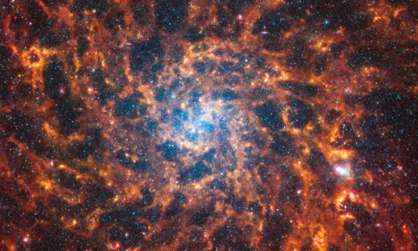 Webb’s image of IC 5332 shows a densely populated face-on spiral galaxy anchored by a central region that has a light blue haze. Spine-like spiral orange arms extend to the edges and rotate clockwise.