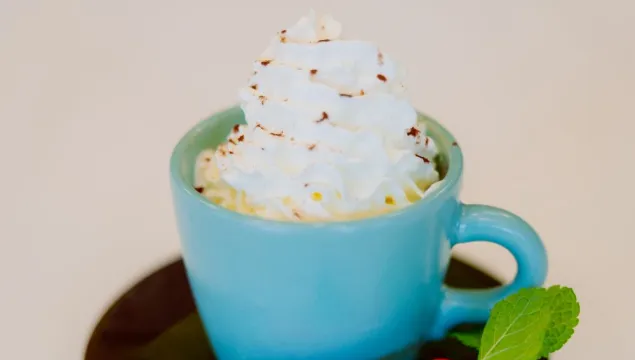 A cup of festive hot chocolate with whipped cream from a winter activity at We The Curious. There is are mint leaves and a red chilly on the saucer.