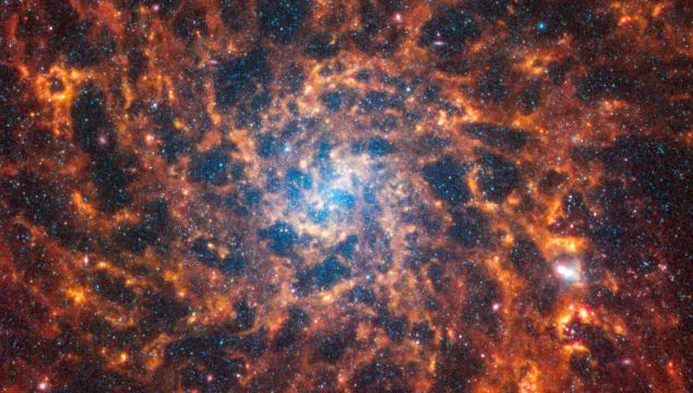 Webb’s image of IC 5332 shows a densely populated face-on spiral galaxy anchored by a central region that has a light blue haze. Spine-like spiral orange arms extend to the edges and rotate clockwise.