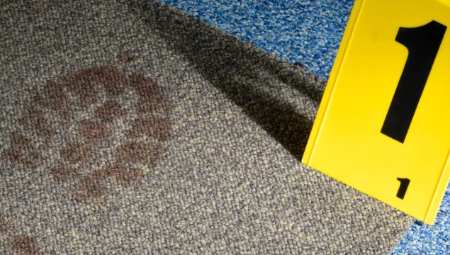 A footprint on carpet next to a yellow crime scene sign with a number 1 on