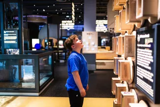 A young boy looking up at a wall of hourglasses