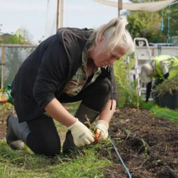 Woman gardening in vegetable patch