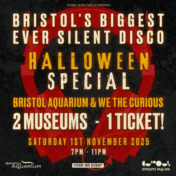 Silent Disco promotional poster