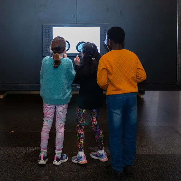 Three children look at an interactive exhibit through large magnifying glasses.