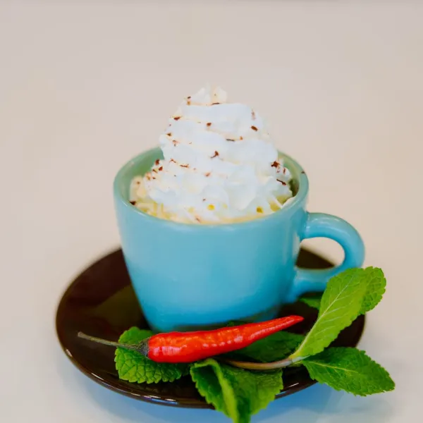 A cup of festive hot chocolate with whipped cream from a winter activity at We The Curious. There is are mint leaves and a red chilly on the saucer.