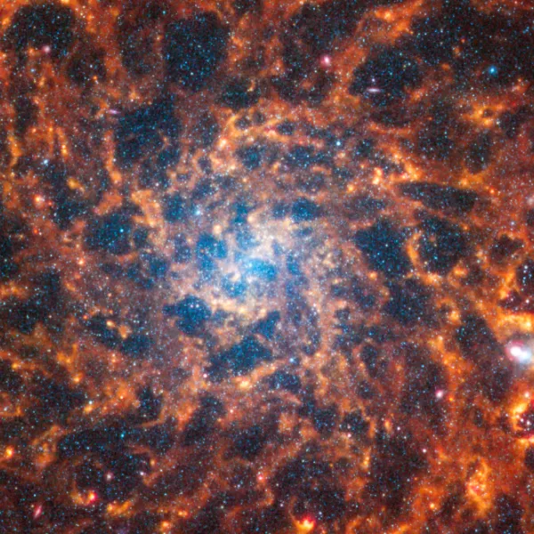 Webb’s image of IC 5332 shows a densely populated face-on spiral galaxy anchored by a central region that has a light blue haze. Spine-like spiral orange arms extend to the edges and rotate clockwise.